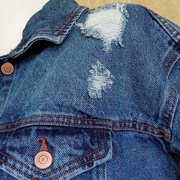 JEAN JACKET - Picture 7 of 13